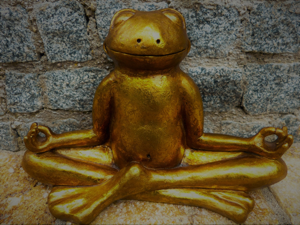 Goldener Frosch - Meditation zur emotionalen Ausgeglichenheit